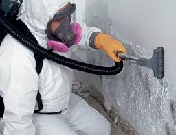 Best Residential Mold Inspection & Testing in , MO